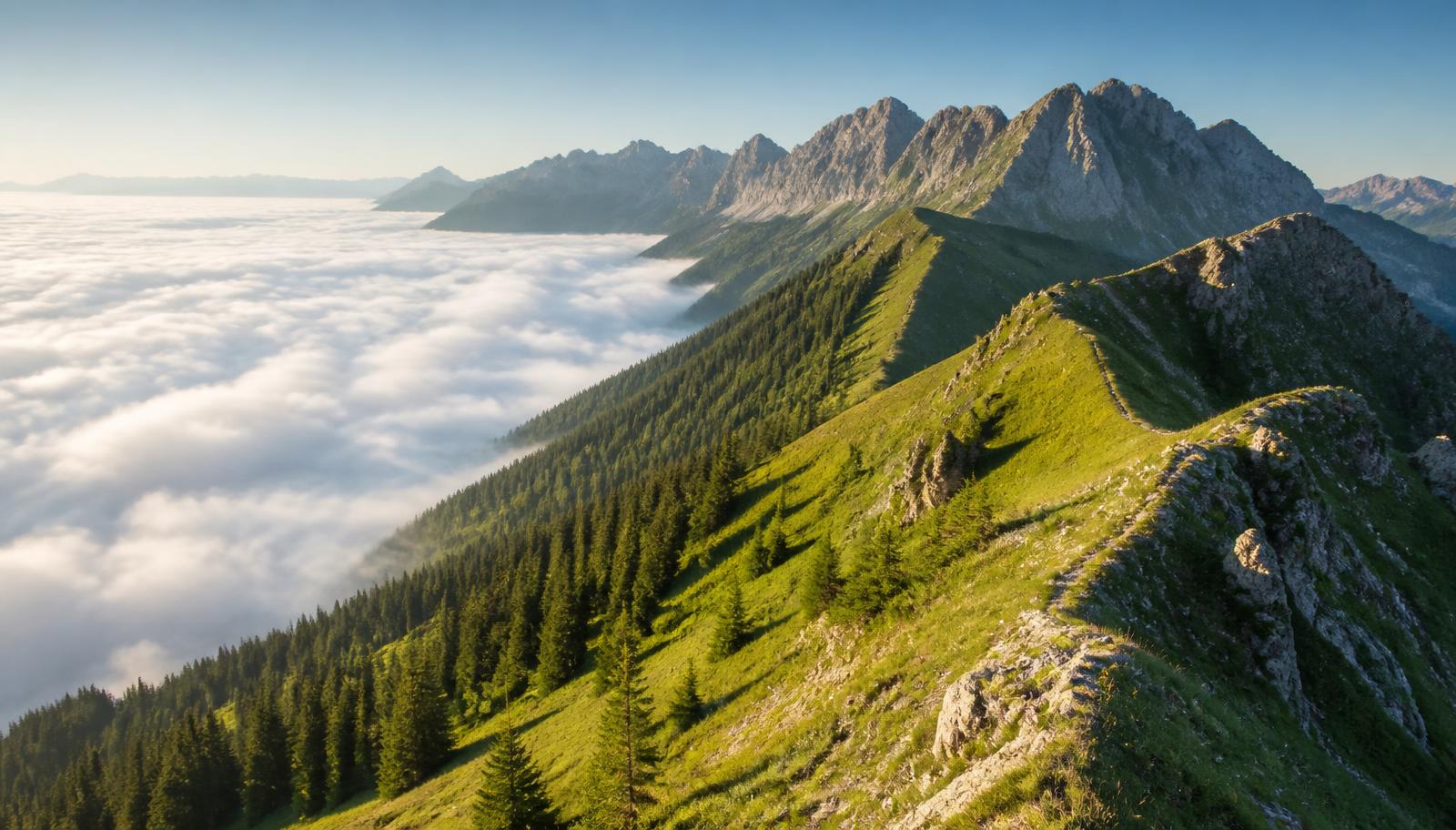 Sunlit alpine ridge above a sea of clouds